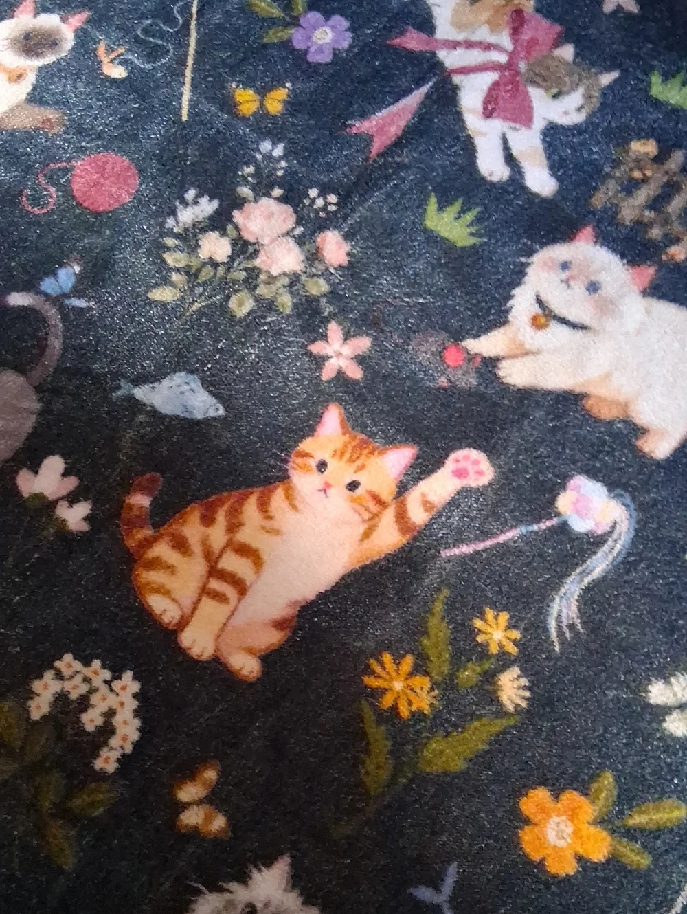 Decorative Black Cat-Print Area Rug, 2' x 3'